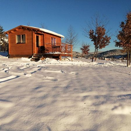 Le Chalet Des Etoiles Champagnac-le-Vieux Exterior foto